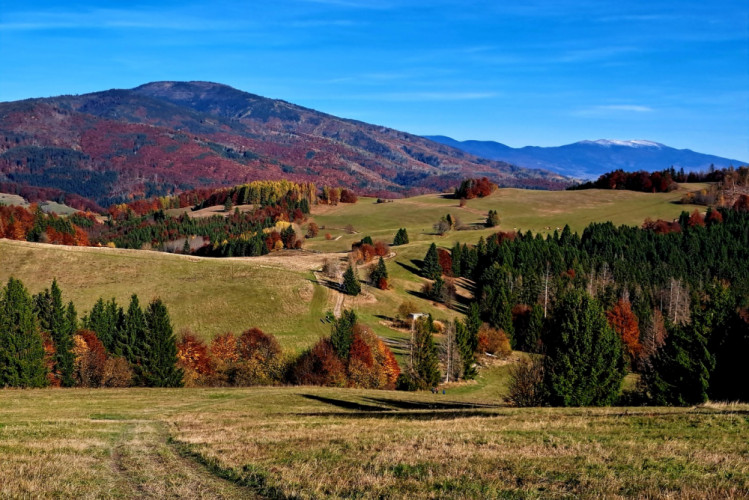 Až po Kráľovú hoľu