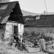 Jazyčnice