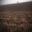 Alone