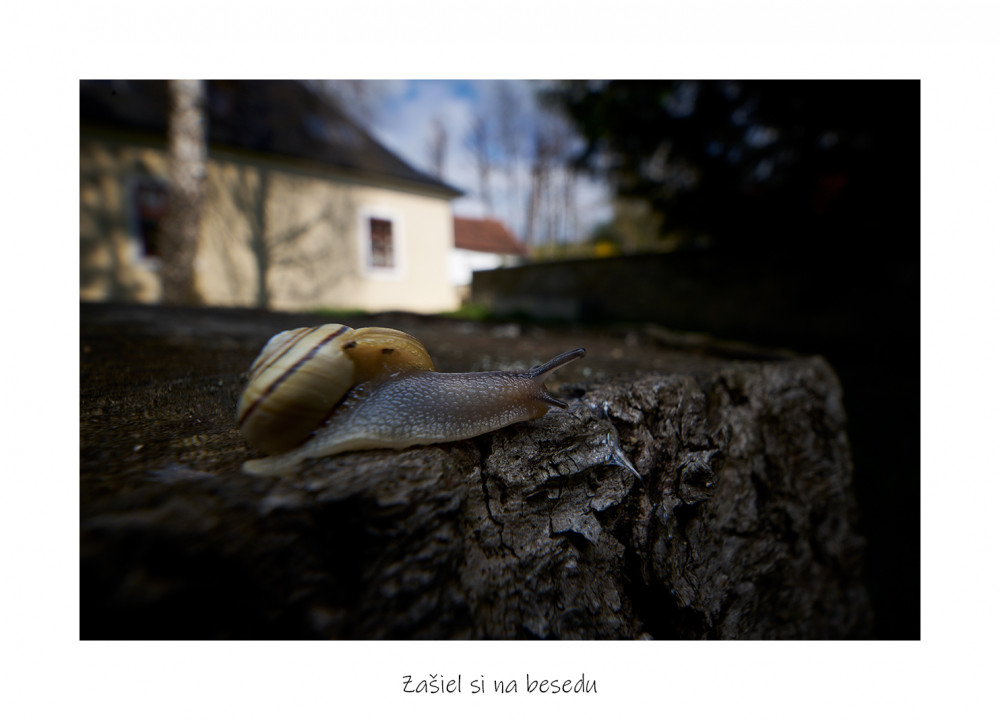 Zašiel si na besedu