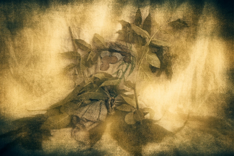 Prírodu nepodplatíš