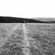 do diaľav