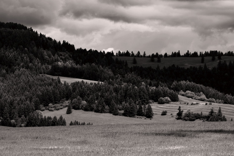Levočské vrchy