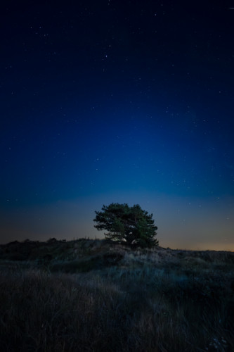 Solitude