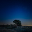 Solitude