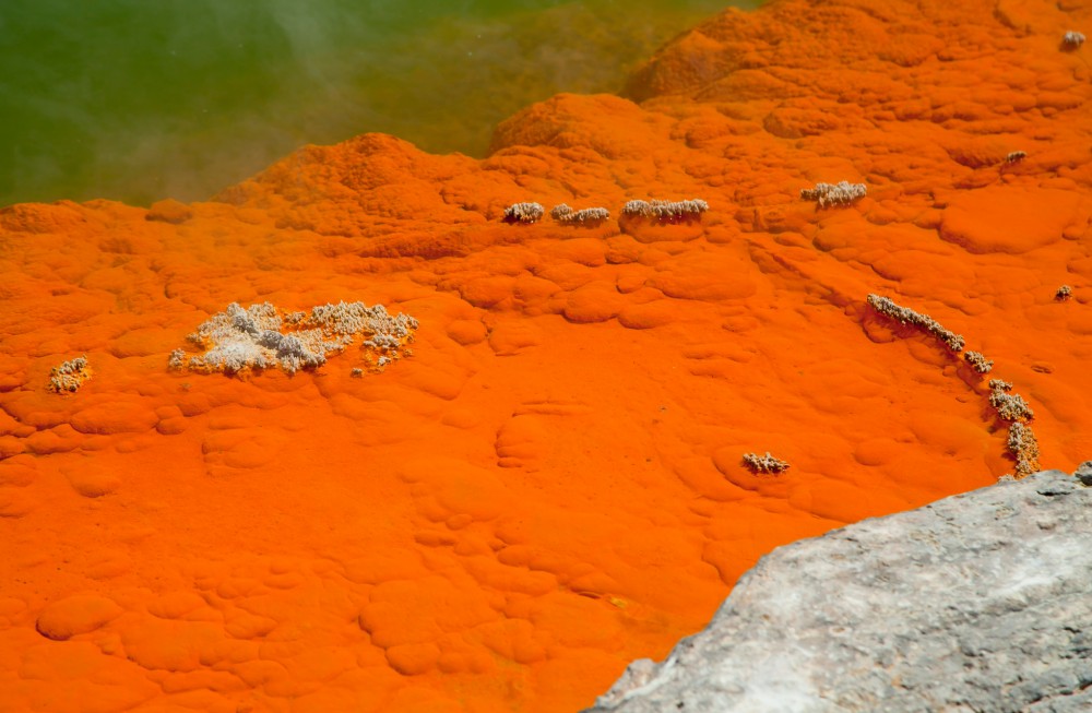 Champagne Pool – detail