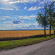 Podunajsko