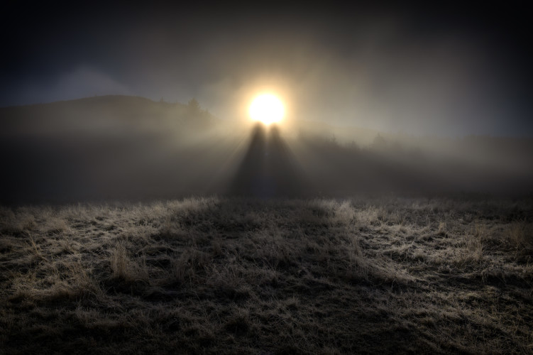 Fiat Lux