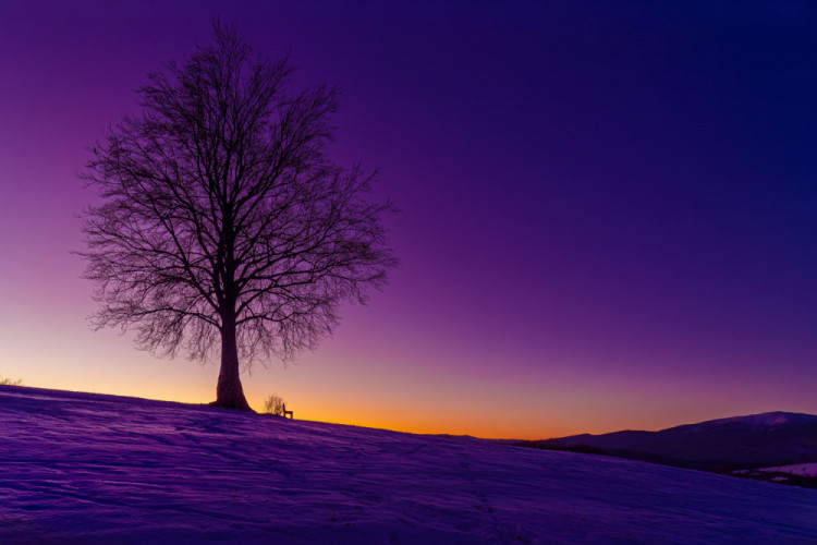 Ešte väčší gýč pod stromom.