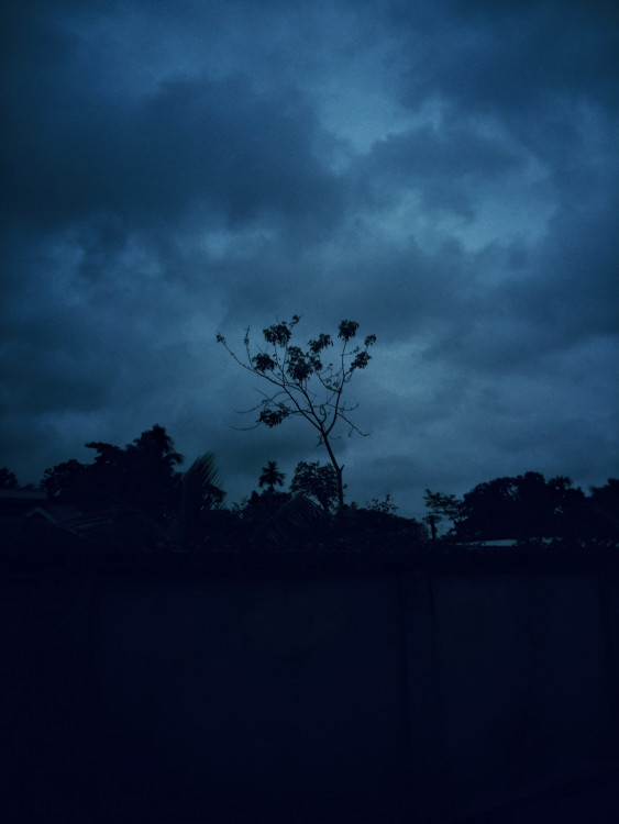 lost in the weather by oviul maruf
