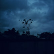 lost in the weather by oviul maruf