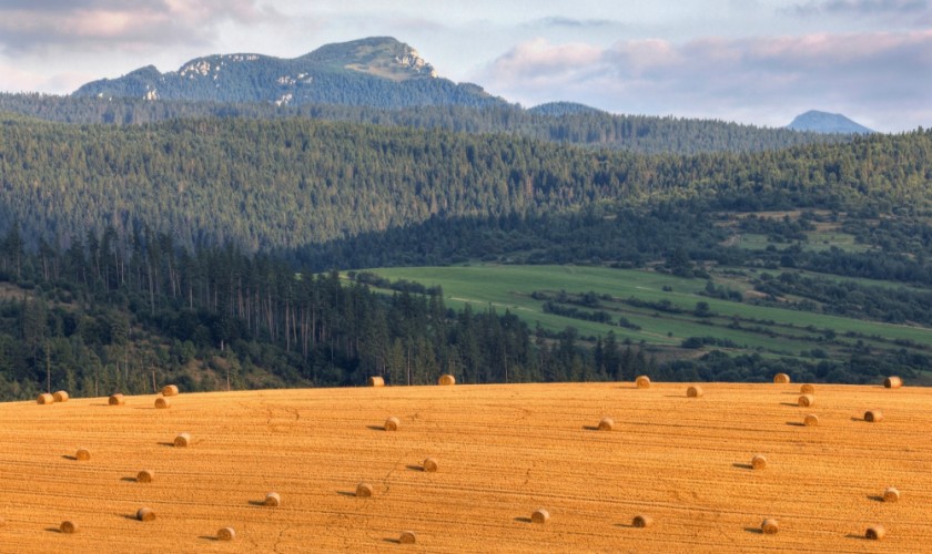 Moja rodná Orava