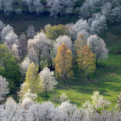 Brdárka