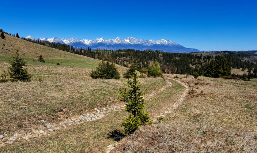 S panoramou Tatier
