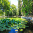 Park vo Svätom Antone
