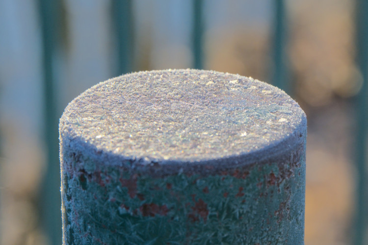 Frozen Color