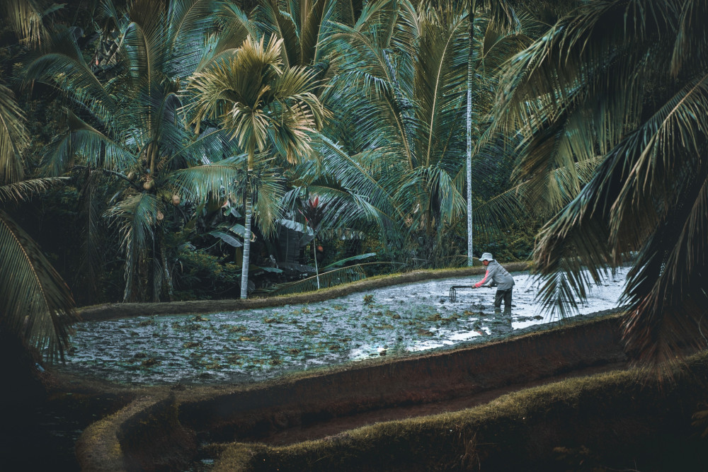 Bali