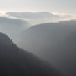 Kršlenica