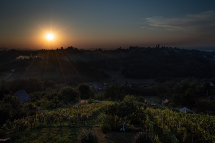 Západ slnka na vinohradmi II