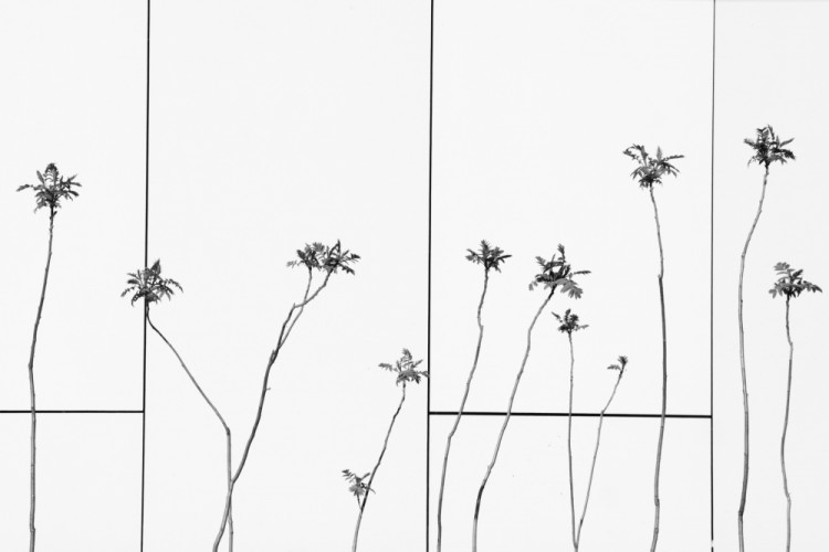 minimal