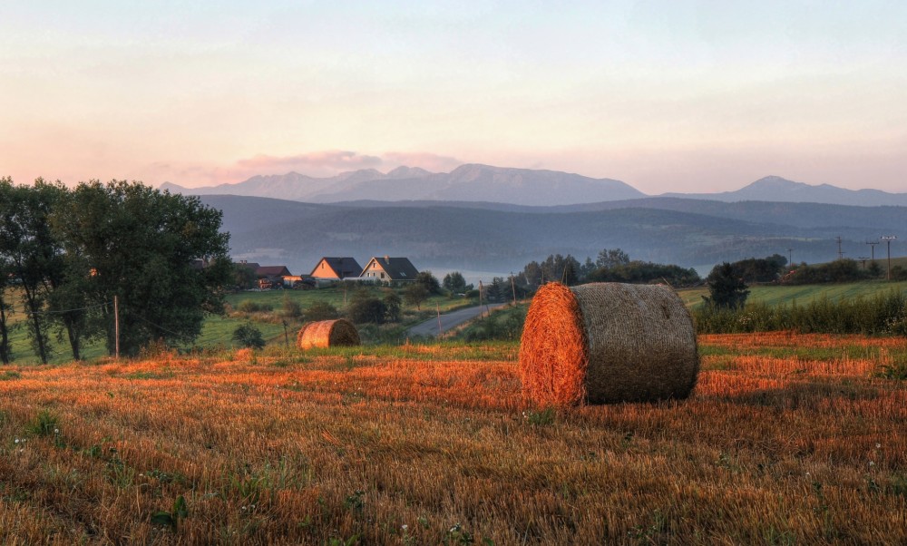 Ranná krajina