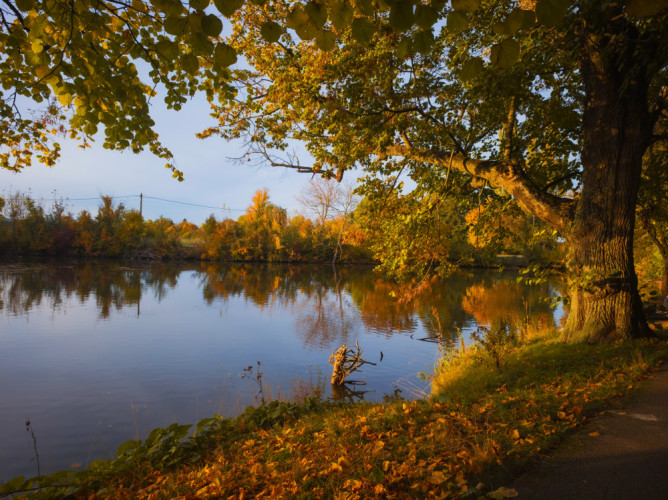 Jeseň na Trnavských rybníkoch