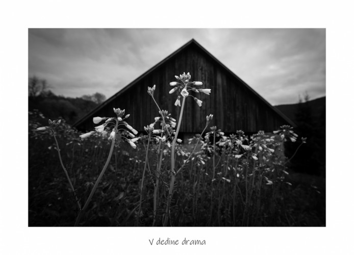 V dedine drama