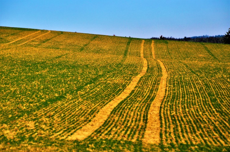 Po žatve