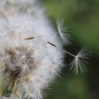 macro2