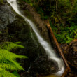 Cascada Pătrăhăițești (Buciniș)-Rumunsko