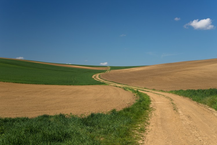 Cestička do poľa...