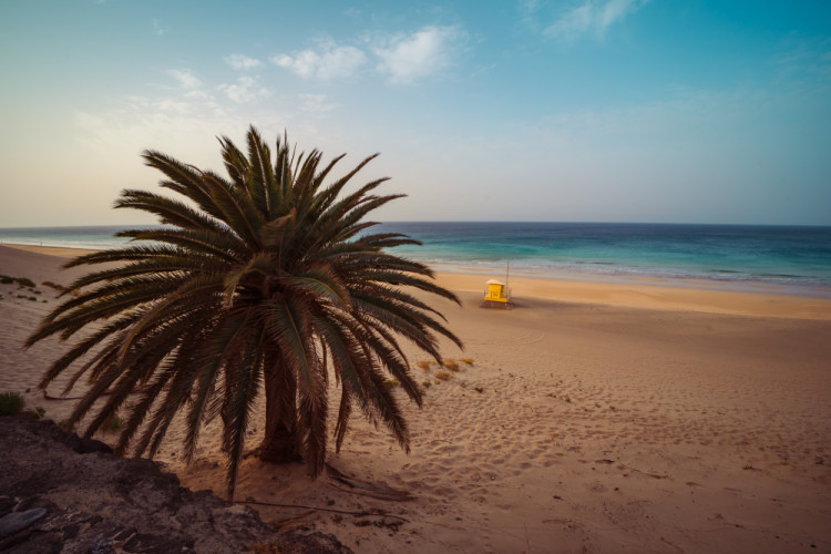fuerteventura