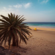 fuerteventura