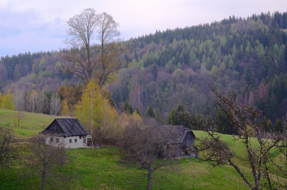 Dom v stráni