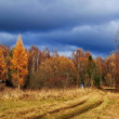 Jesennou krajinou