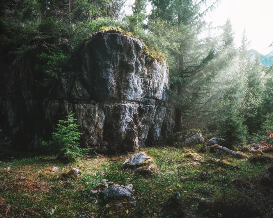 Les pod Čiernym Kameňom, Veľká Fatra