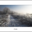 Krajina snov II