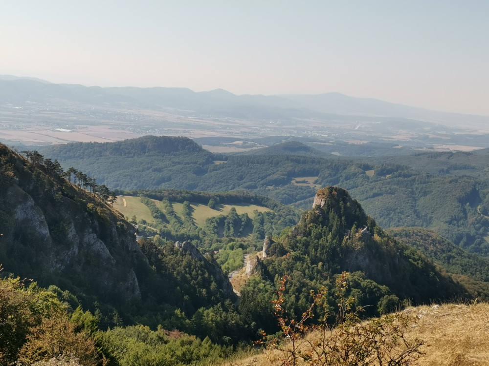 Chmelova