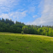 Strážovske vrchy