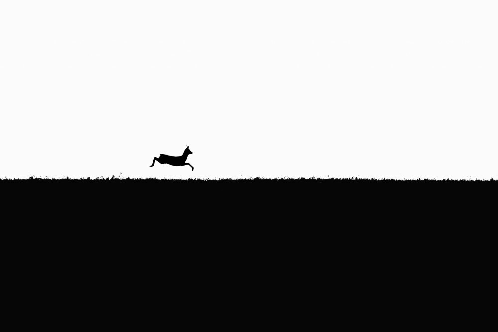 Hop