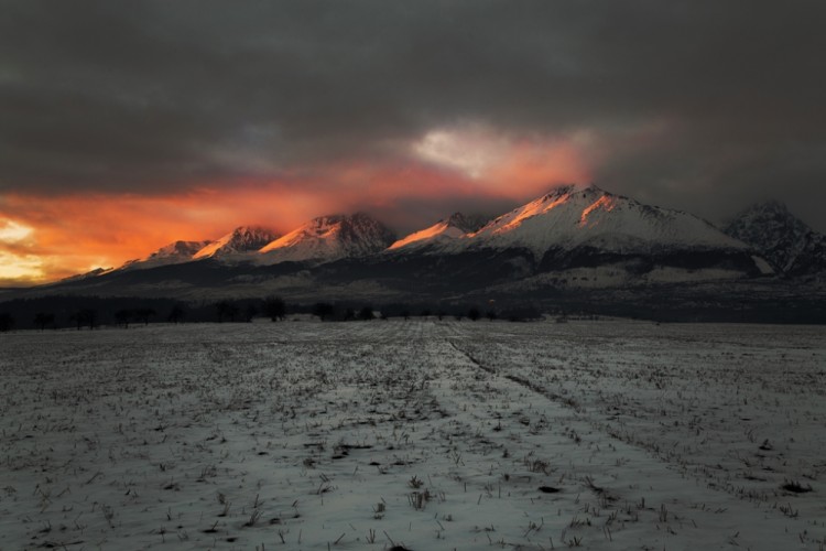 Vysoké Tatry