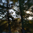 abstrakt