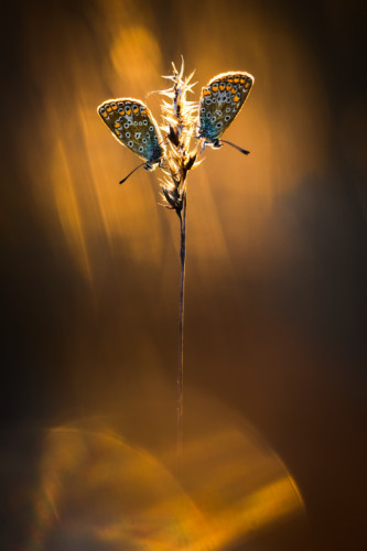 1508