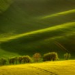 Mirabelky