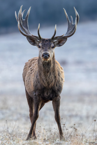 • Na dosah ruky •