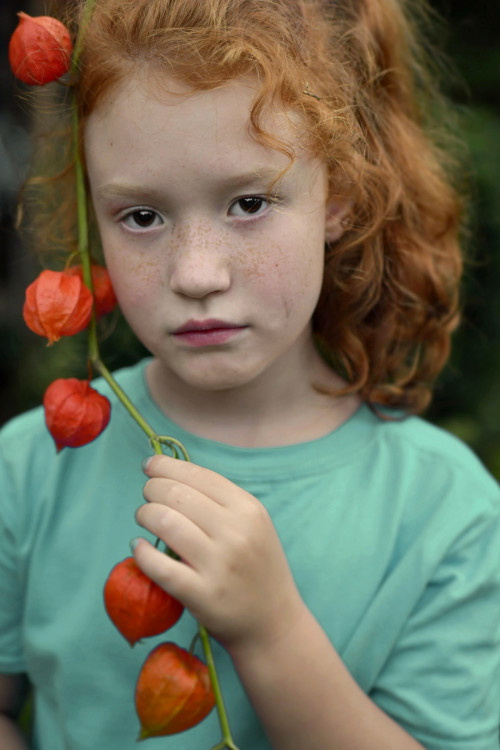 Oranžová