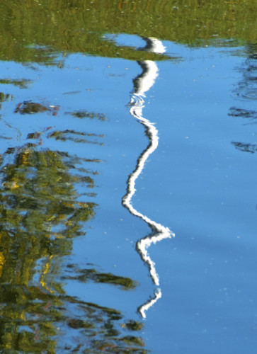Reflex
