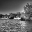 Doná Streda - Rameno