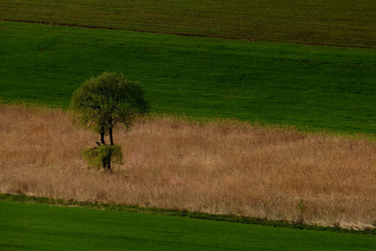 Fragmenty Spiša