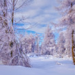 Zimní odpoledne